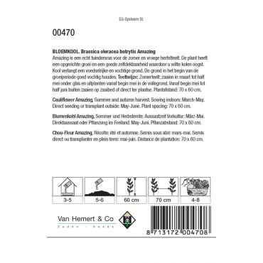 Bloemkool Amazing - afbeelding 2