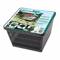 Bodem en planten