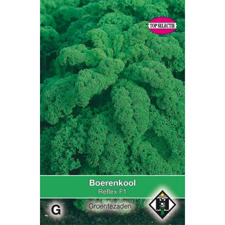 Boerenkool Reflex F1 - afbeelding 1