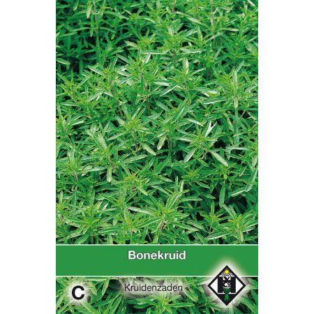 Bonekruid / Satureja - afbeelding 1