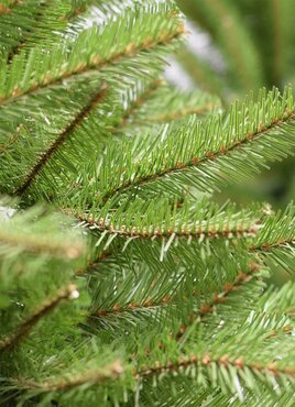 Kunstkerstboom Dunhill fir 183 cm - afbeelding 2