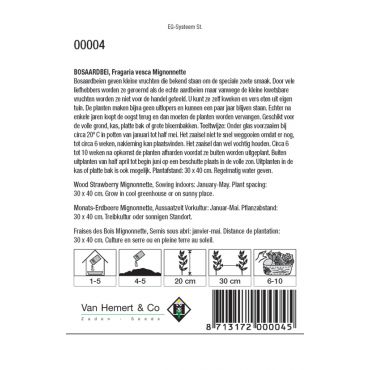 Bosaardbei Mignonnette - afbeelding 2