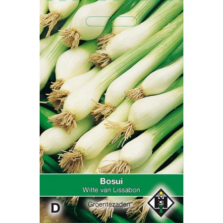 Bosui Witte van Lissabon - afbeelding 1