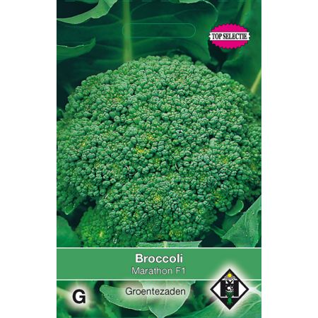 Broccoli Marathon F1 - afbeelding 1