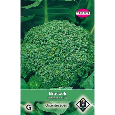 Broccoli Marathon F1 - afbeelding 2