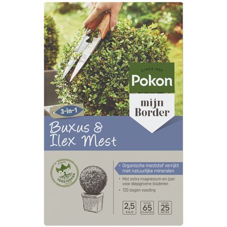 Pokon buxus en ilex mest 2,5 kg - afbeelding 1