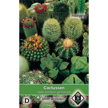 Cactusmengsel - afbeelding 1