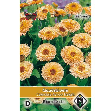 Calendula officinalis Apricot Delight - afbeelding 1