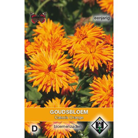 Calendula officinalis 'Calexis Orange' - goudsbloem - afbeelding 1