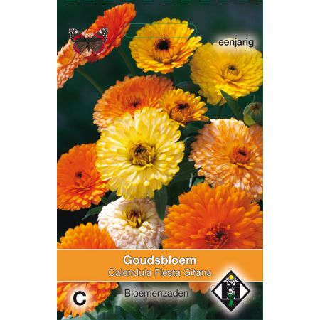 Calendula officinalis Fiesta Gitana - afbeelding 1