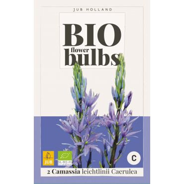 Camassia leichtlinii Caerulea - bio