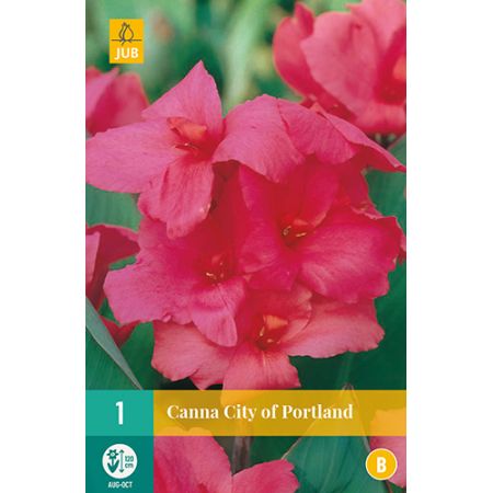 Canna city of portland 1st