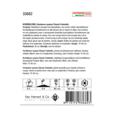 Centaurea cyanus Classic Fantastic - afbeelding 2