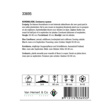 Centaurea cyanus enkele blauw - afbeelding 2