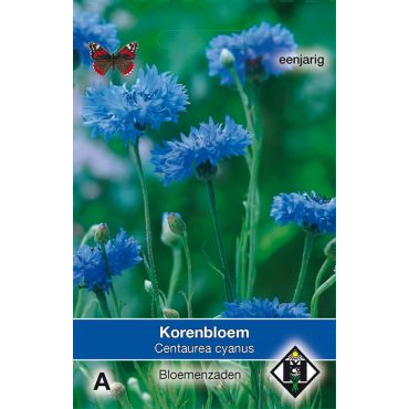 Centaurea cyanus enkele blauw - afbeelding 1