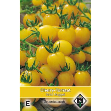 Cherry-Tomaat Gold Nugget - afbeelding 1