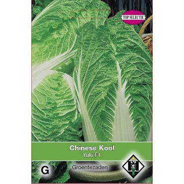 Chinese kool Vitimo F1 - afbeelding 1