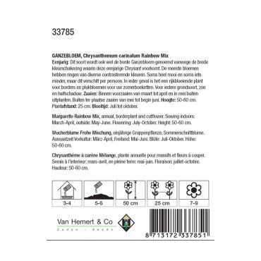Chrysanthemum carinatum Rainbow Mix - afbeelding 2