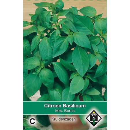 Citroen Basilicum Mrs. Burns - afbeelding 1