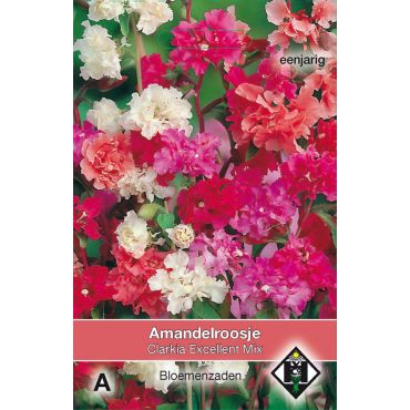 Clarkia unguiculata Excellent Mix - afbeelding 1