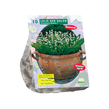 Convallaria Majalis (NJ) per 10