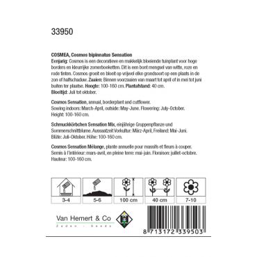 Cosmos bipinnatus Sensation - afbeelding 2