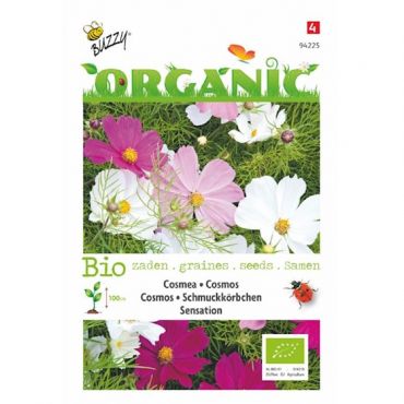 Cosmos Sensation (BIO) - afbeelding 1