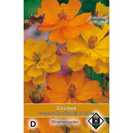 Cosmos sul. Klondike Bright Lights - afbeelding 1
