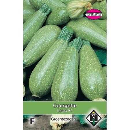 Courgette Lorea F1 - afbeelding 1