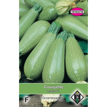 Courgette Lorea F1 - afbeelding 1