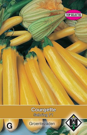 Courgette Yellowstar F1 - afbeelding 1