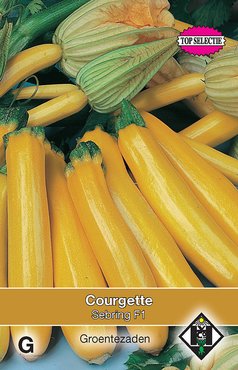 Courgette Yellowstar F1 - afbeelding 2
