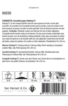 Courgette Yellowstar F1 - afbeelding 2