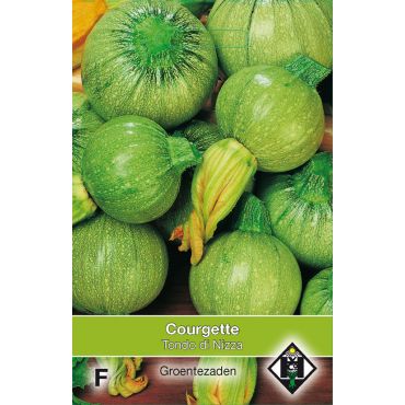 Courgette Tondo di Nizza - afbeelding 1