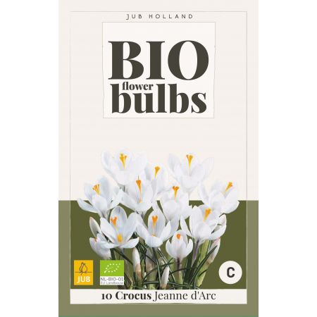 Crocus Jeanne d'Arc - bio