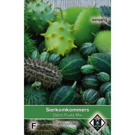 Cucumis deco-fruits mix - sierkomkommers - afbeelding 1
