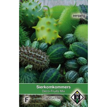Cucumis deco-fruits mix - sierkomkommers - afbeelding 2