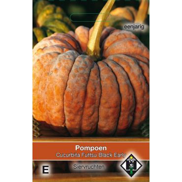 Cucurbita moschata 'Futtsu Black Early' - pompoen - afbeelding 1