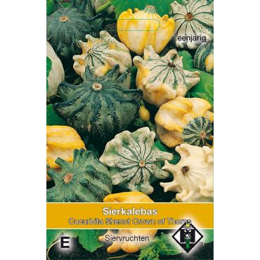 Cucurbita pepo Shenot 'Crown of Thorns' - sierkalebas - afbeelding 1
