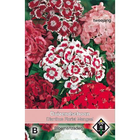 Dianthus barbatus Florist Mengsel - afbeelding 1