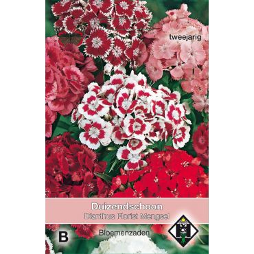 Dianthus barbatus Florist Mengsel - afbeelding 1