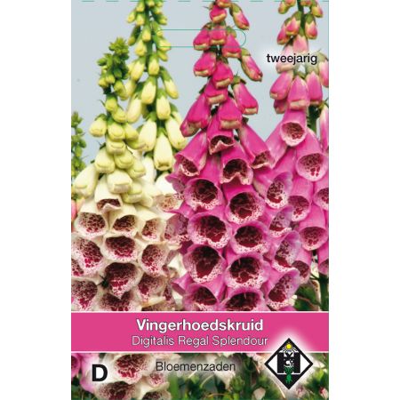 Digitalis purpurea Regal Splendour - afbeelding 1