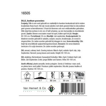 Dille / Anethum - afbeelding 2