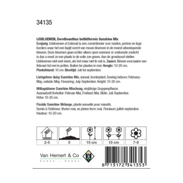 Dorotheanthus b. Sunshine Mix - afbeelding 2