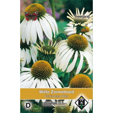 Echinacea purpurea 'Alba' - zonnehoed - afbeelding 1