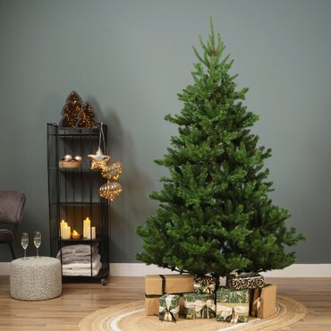 Everlands kunstkerstboom Alba fir 180 cm  - afbeelding 5