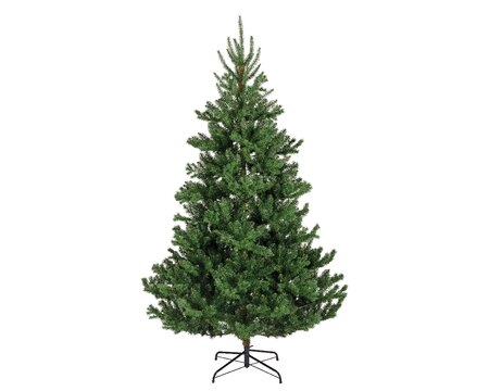 Everlands kunstkerstboom Alba fir 180 cm  - afbeelding 1