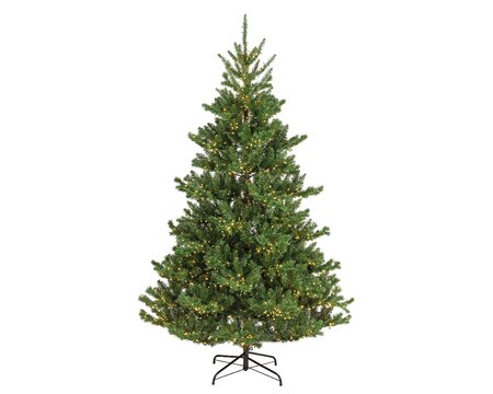 Everlands kunstkerstboom Alba fir 240 cm - met verlichting - afbeelding 1