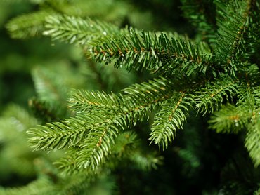 Everlands kunstkerstboom Allison - 180 cm   - afbeelding 3