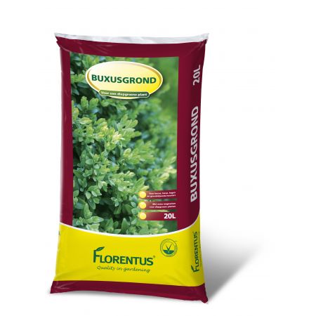 Florentus buxusgrond 20L